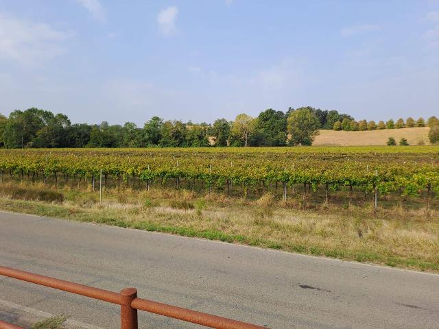 Terreno agricolo in Via Leonardo da Vinci, Zola Predosa - Foto 1