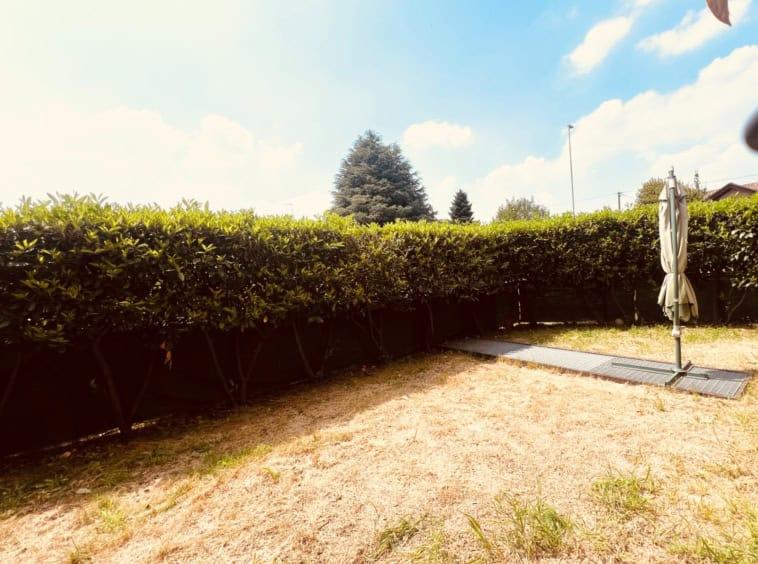 immagine annuncio 4 di 14