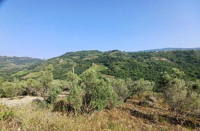 Agricultural land in Contrada Destre, Agropoli - Photo 1