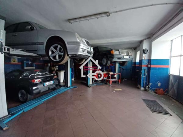 Negozio in Viale San Martino 66, Laureana Cilento, {3} - Foto 2