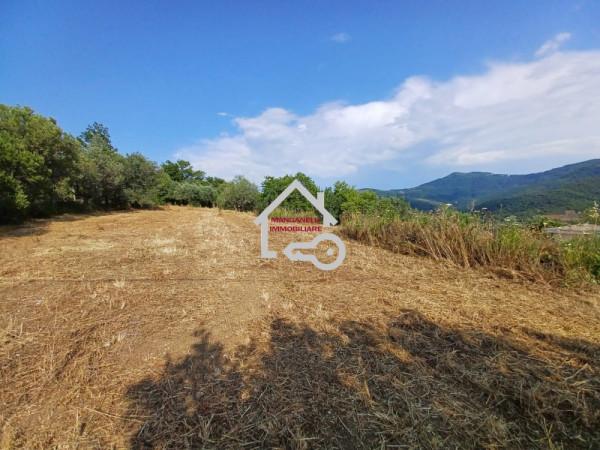 Magazzino in Via Serri, Giungano, {3} - Foto 2