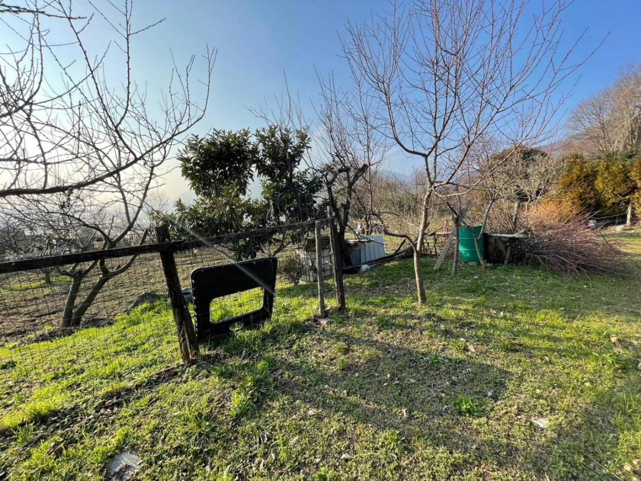 immagine annuncio 13 di 15