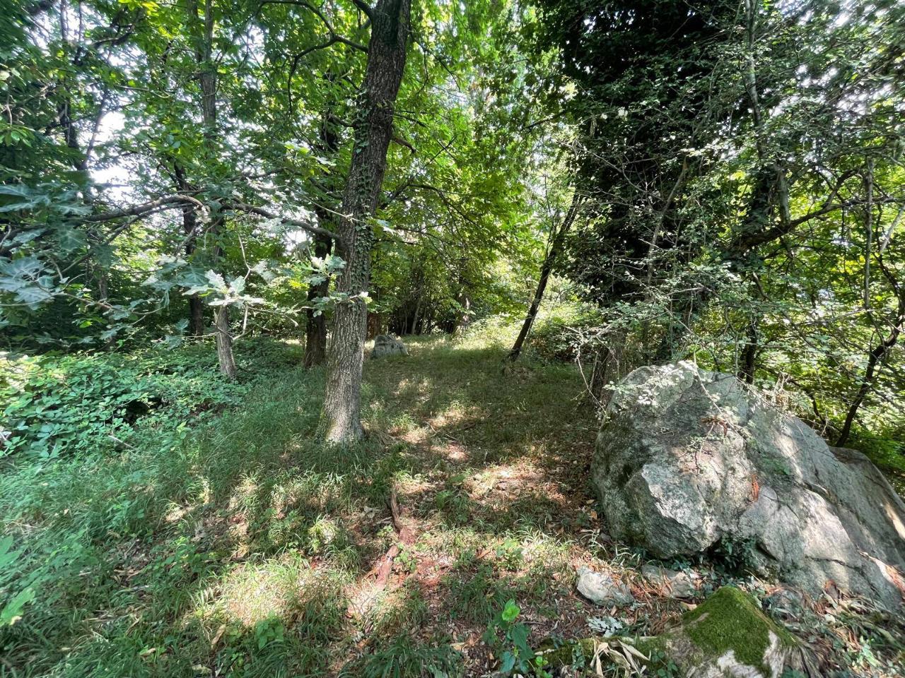 immagine annuncio 10 di 11