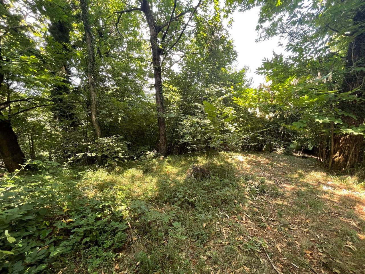 immagine annuncio 7 di 11