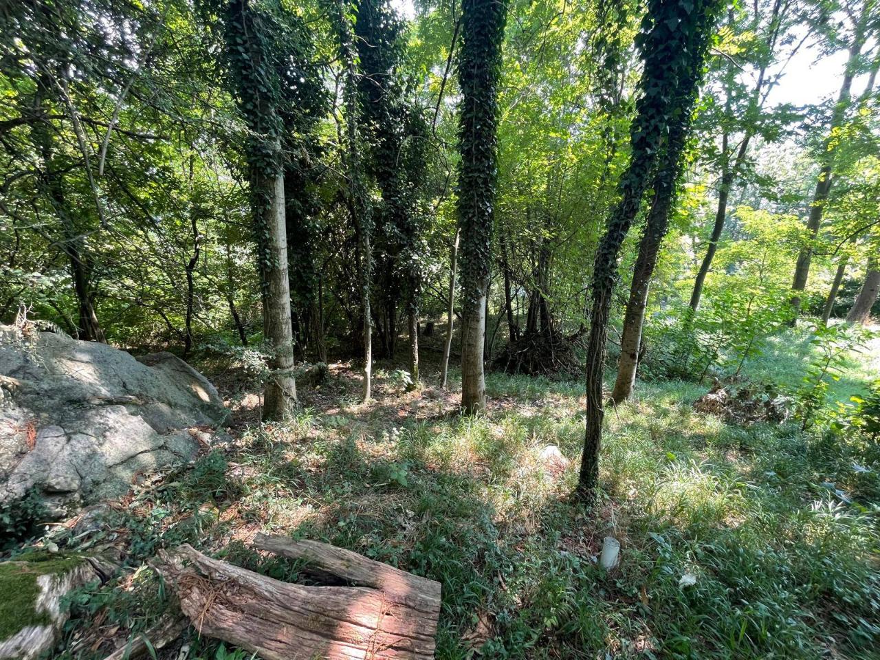 immagine annuncio 9 di 11