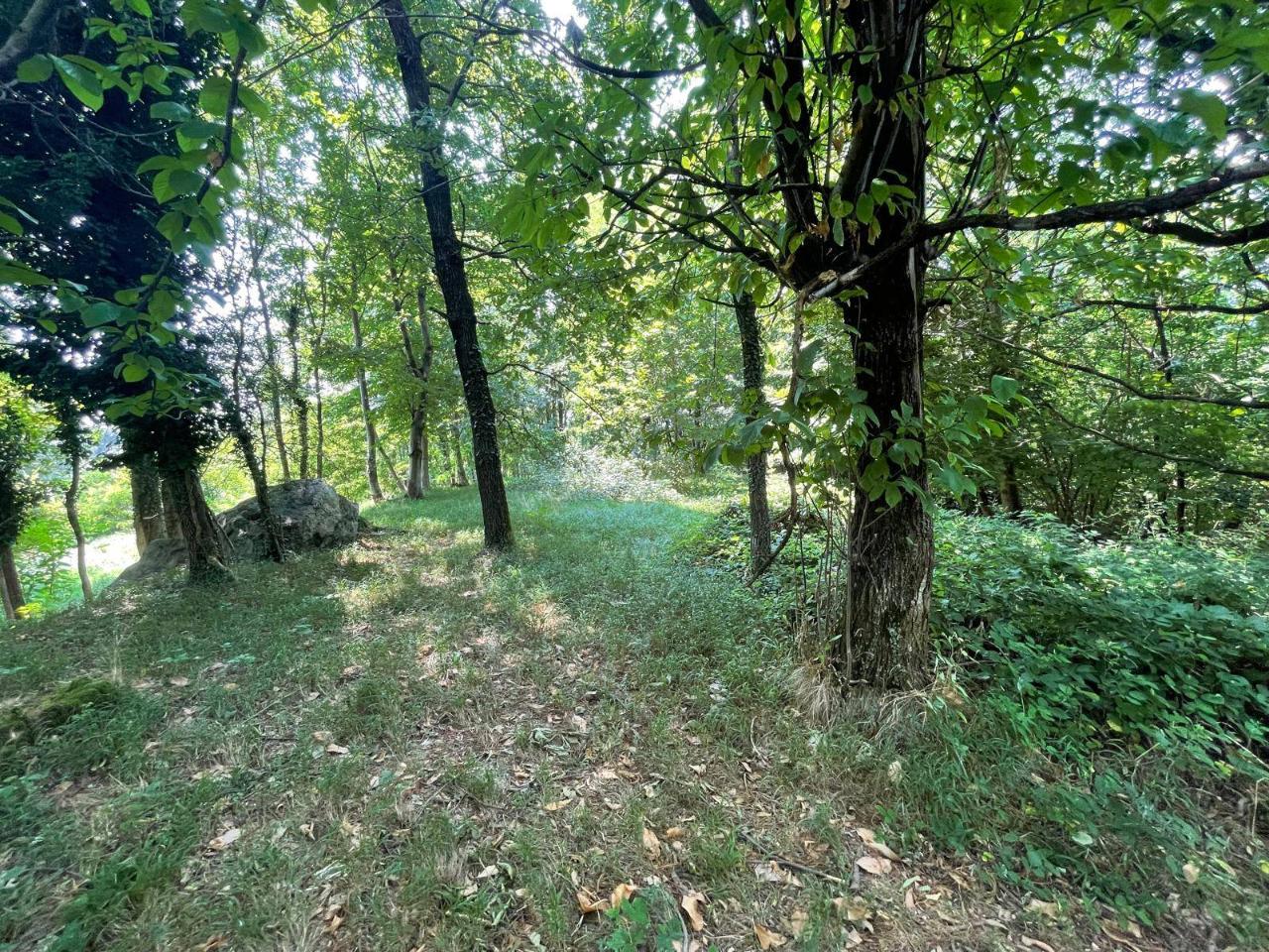 immagine annuncio 5 di 11