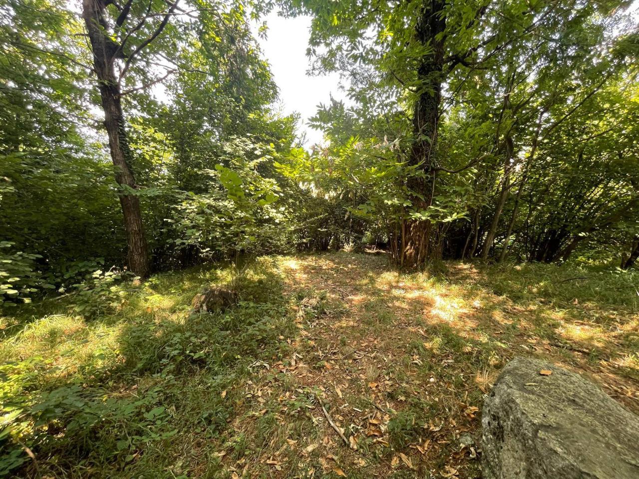 immagine annuncio 8 di 11