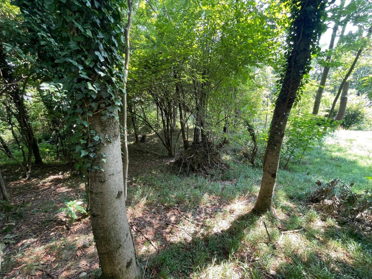 immagine annuncio 4 di 11