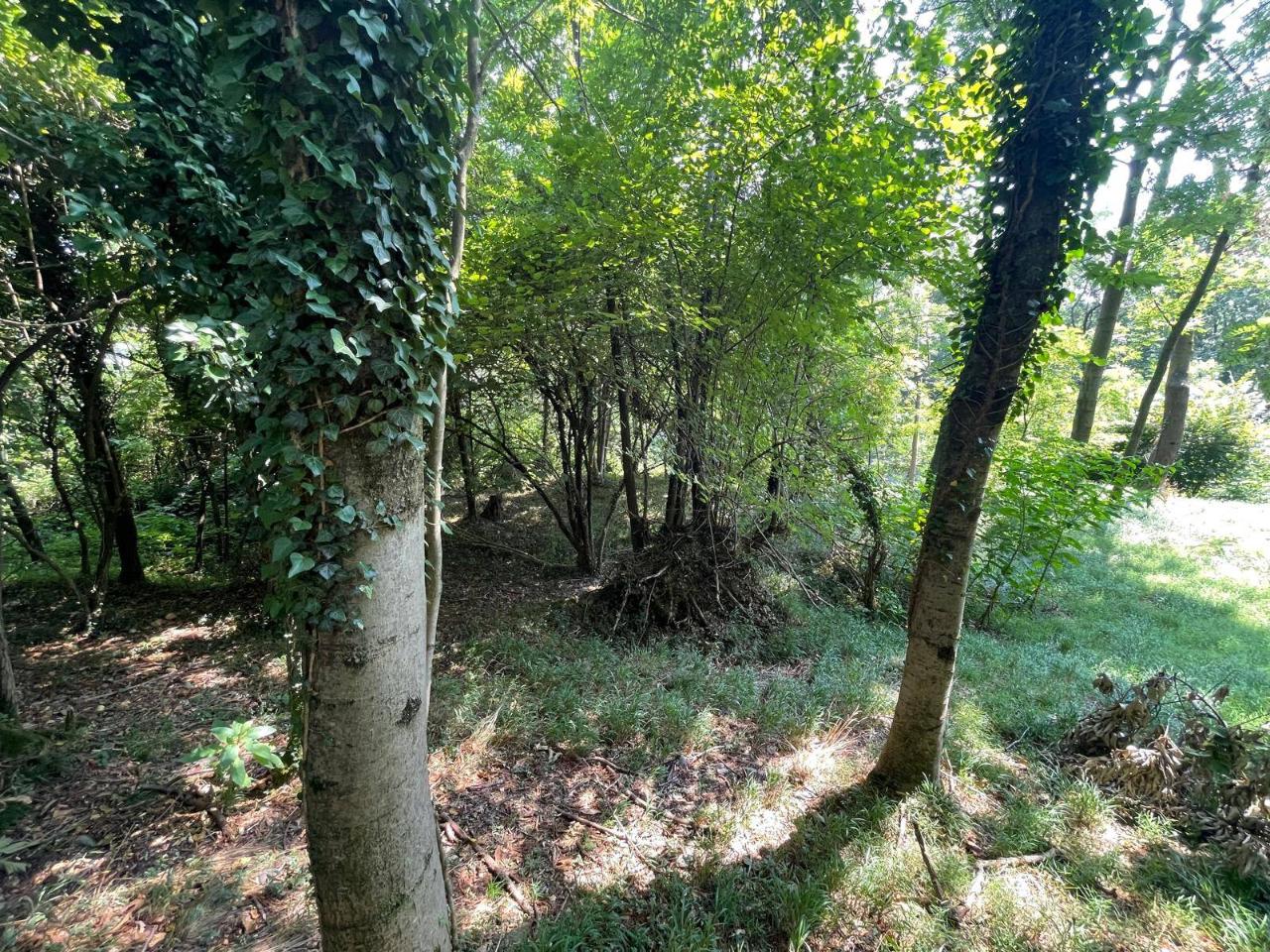 immagine annuncio 2 di 11