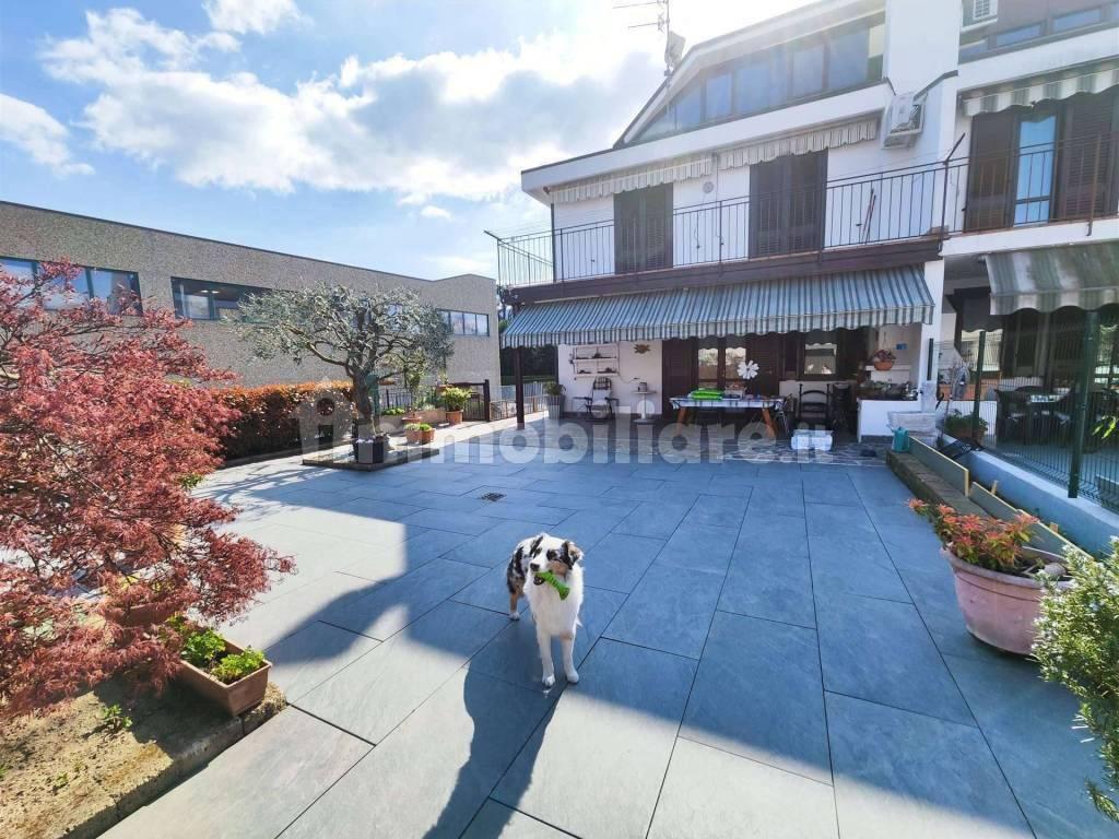 immagine annuncio 2 di 15