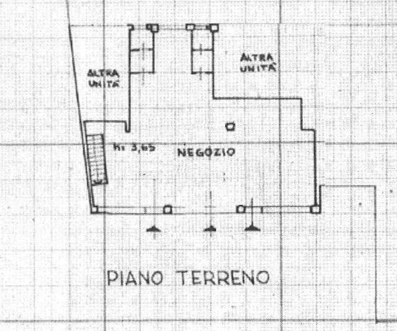 main planimetry real estate image