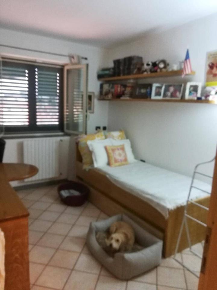 immagine annuncio 4 di 11