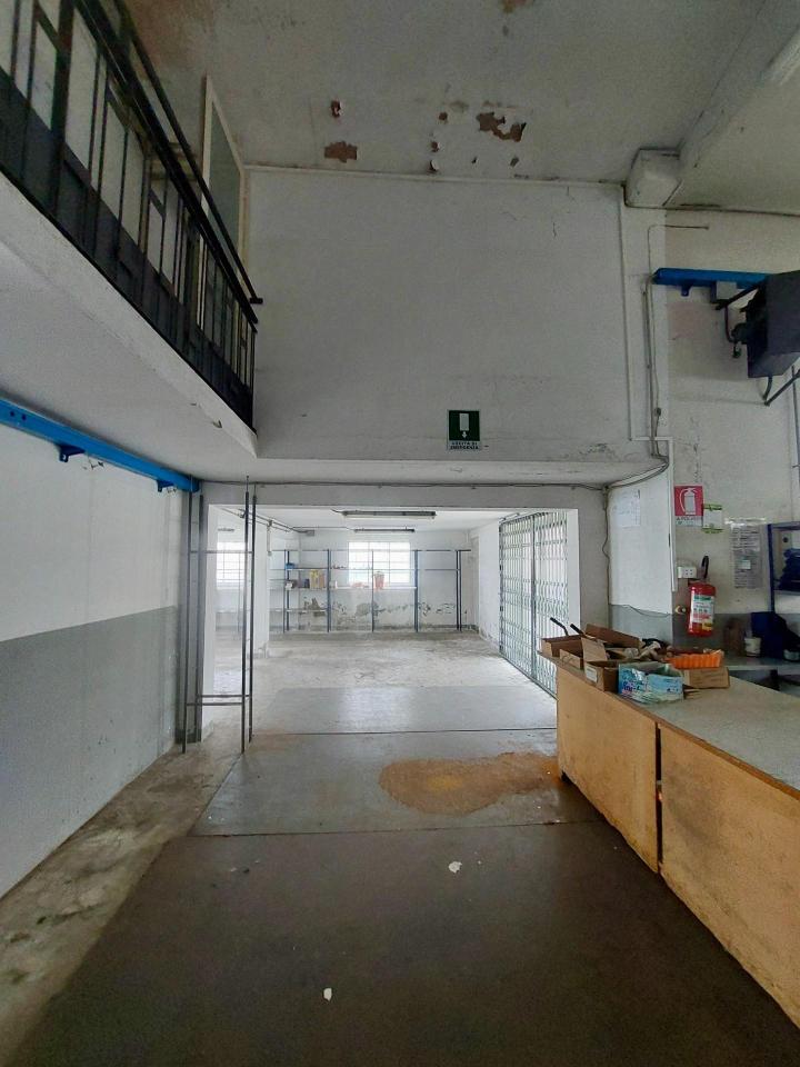Capannone in Sarzanese Nord 393, Massarosa, {3} - Foto 2