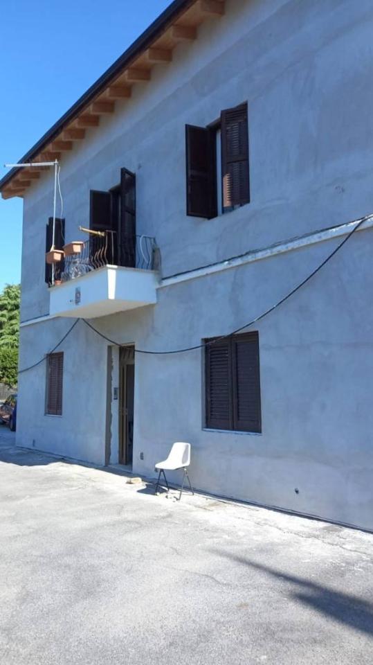 immagine annuncio 4 di 8