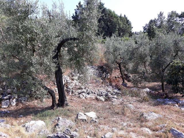 Terreno agricolo, Itri - Foto 1