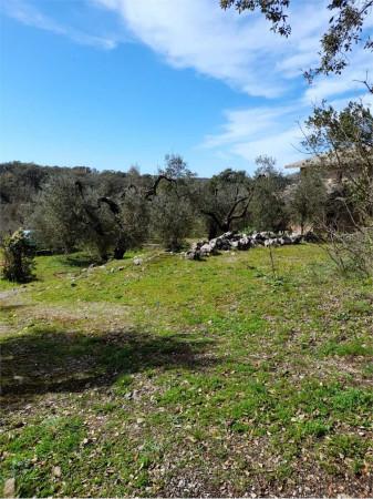 Capannone in , Formia, {3} - Foto 2