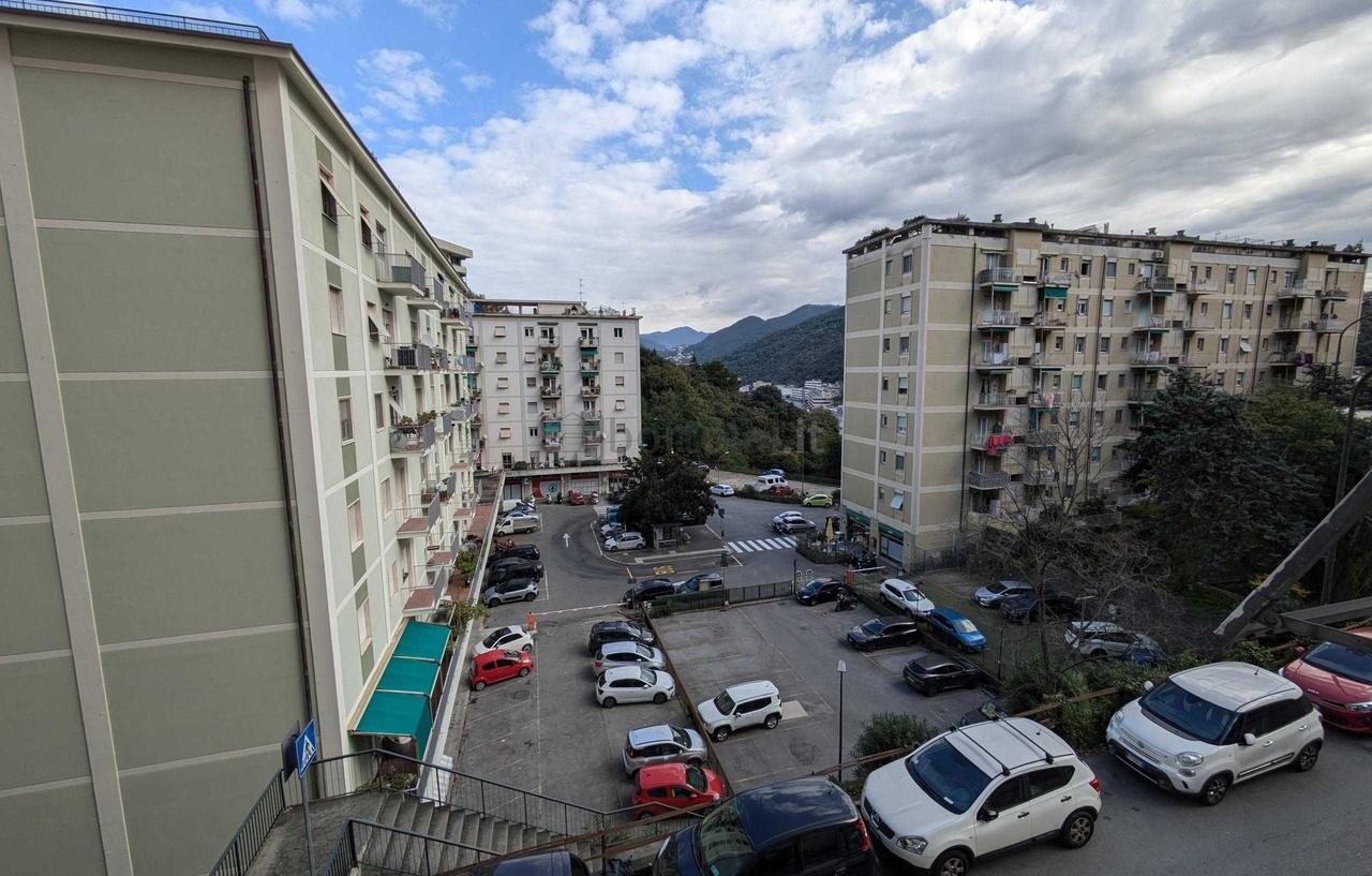 immagine annuncio 2 di 8