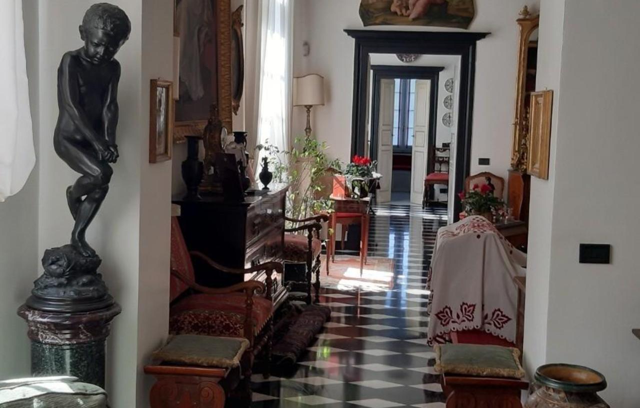 immagine annuncio 6 di 13