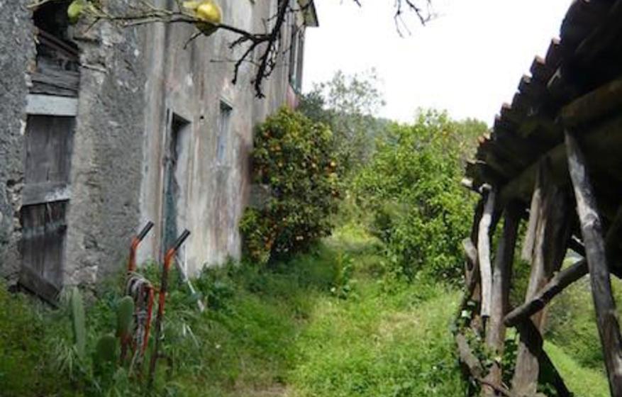 immagine annuncio 7 di 11