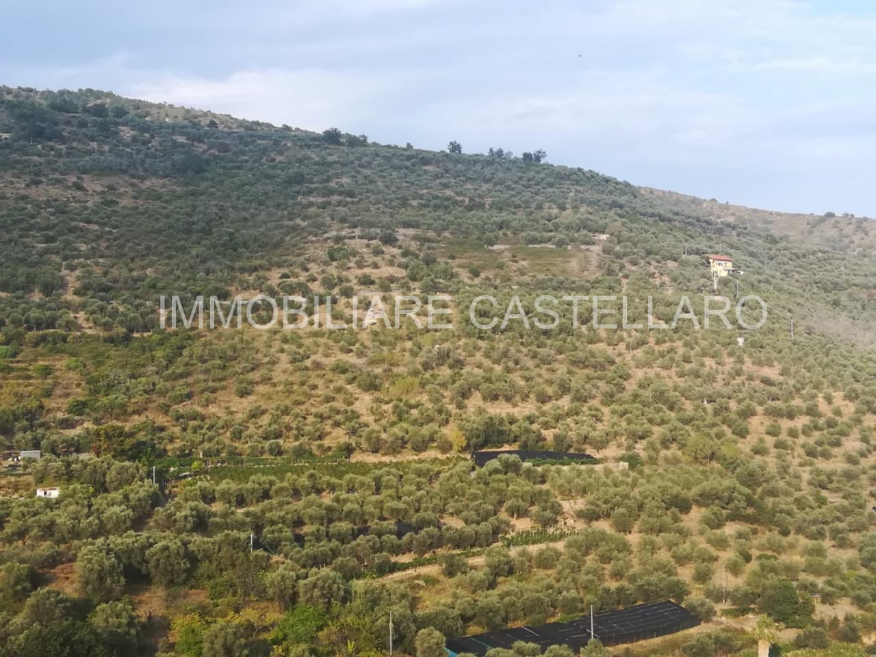 Terreno edificabile residenziale in vendita a Castellaro