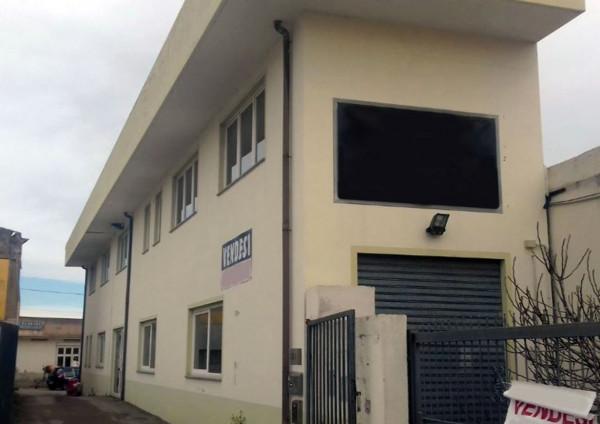 Negozio in Viale Porto Torres 37, Sassari - Foto 1