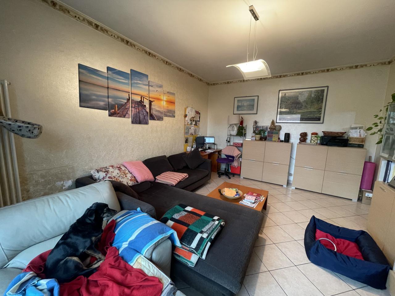 immagine annuncio 9 di 15