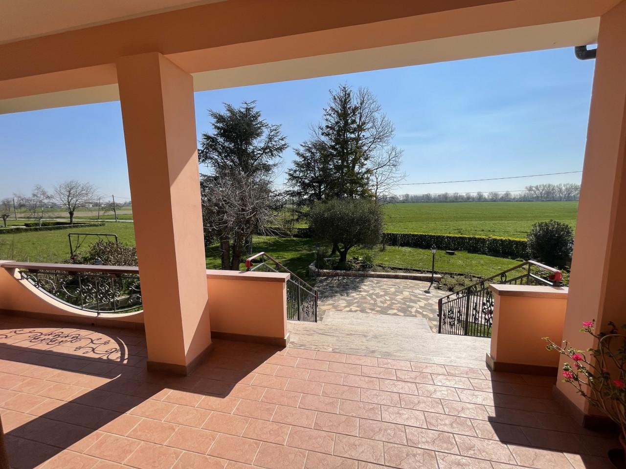 immagine annuncio 0 di 15