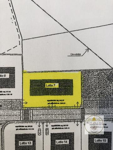 main planimetry real estate image