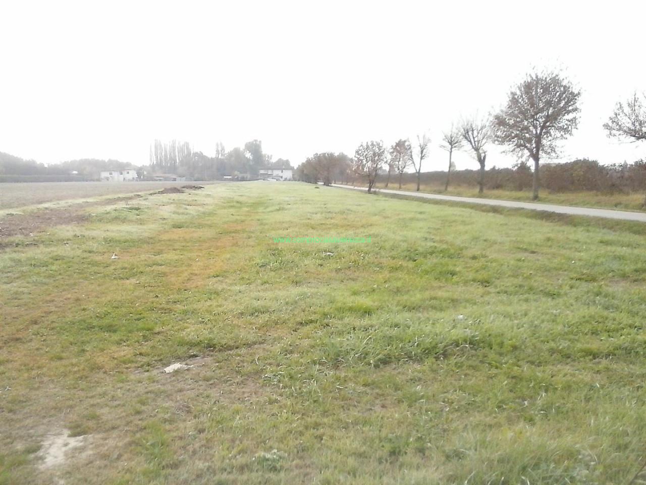 Terreno agricolo in vendita a Silea