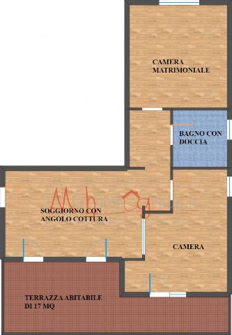 main planimetry real estate image