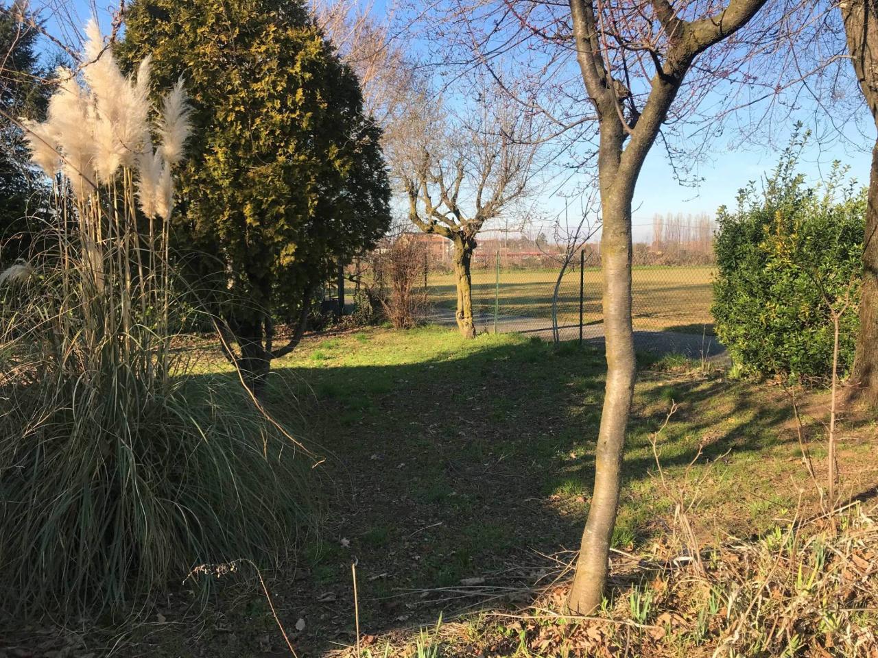 immagine annuncio 2 di 14