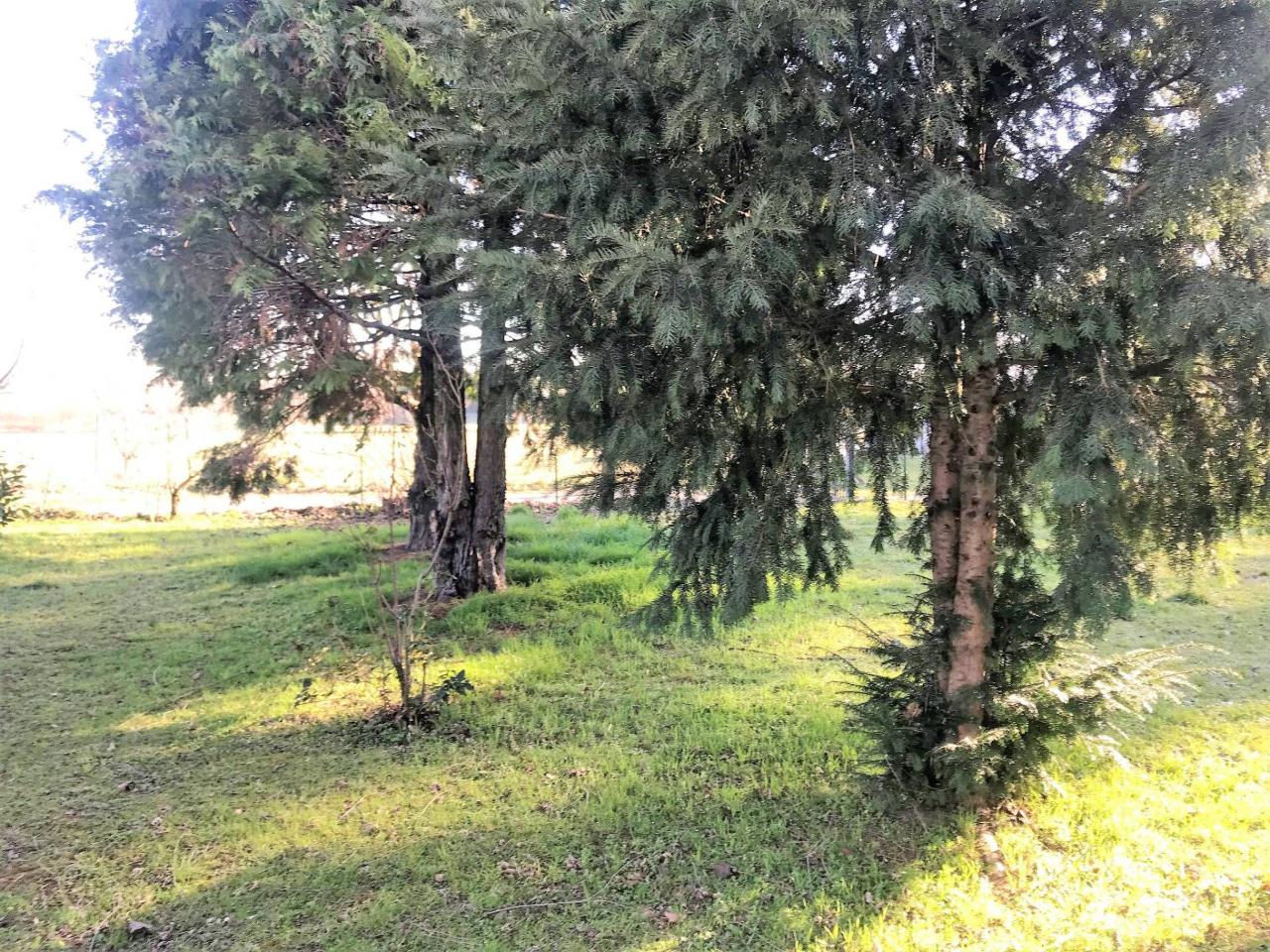 immagine annuncio 3 di 14