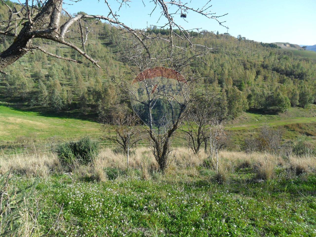 Terreno agricolo in vendita a Santa Caterina Villarmosa