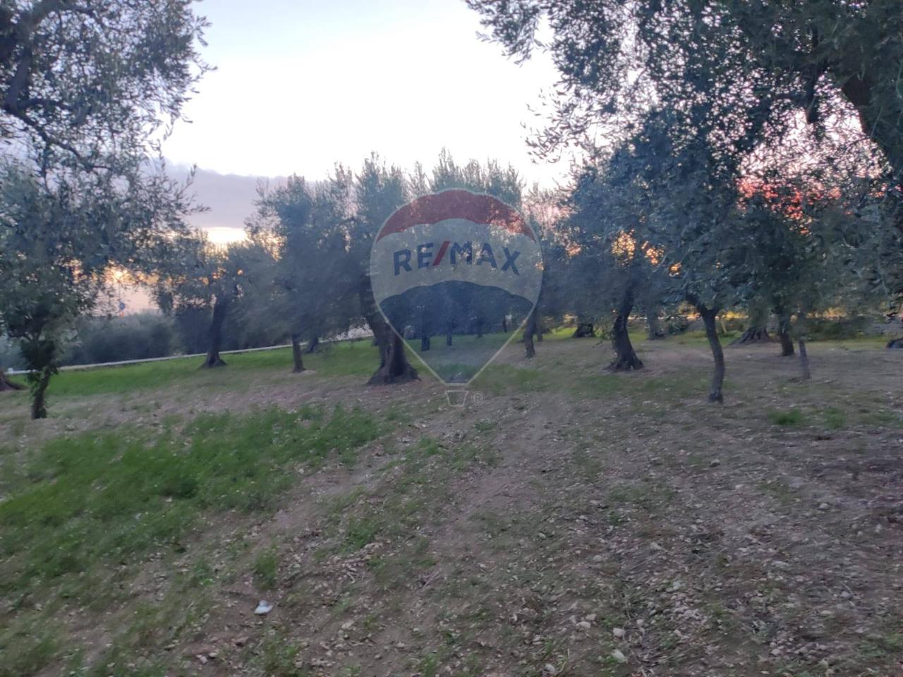 Terreno agricolo in vendita a Monte Sant'Angelo