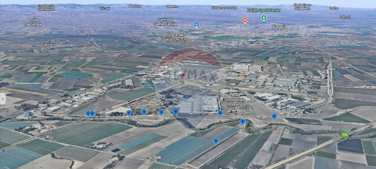 immagine annuncio 4 di 8