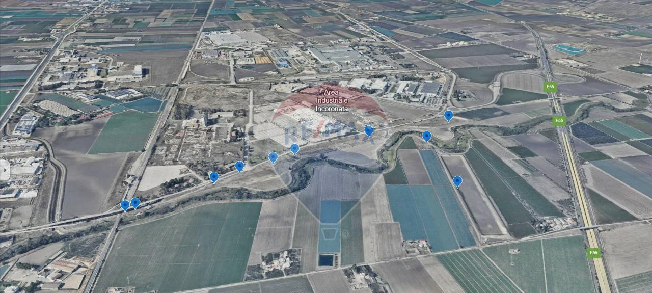 immagine annuncio 3 di 8