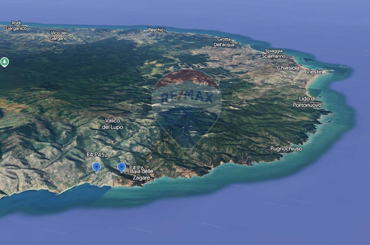 immagine annuncio 2 di 8