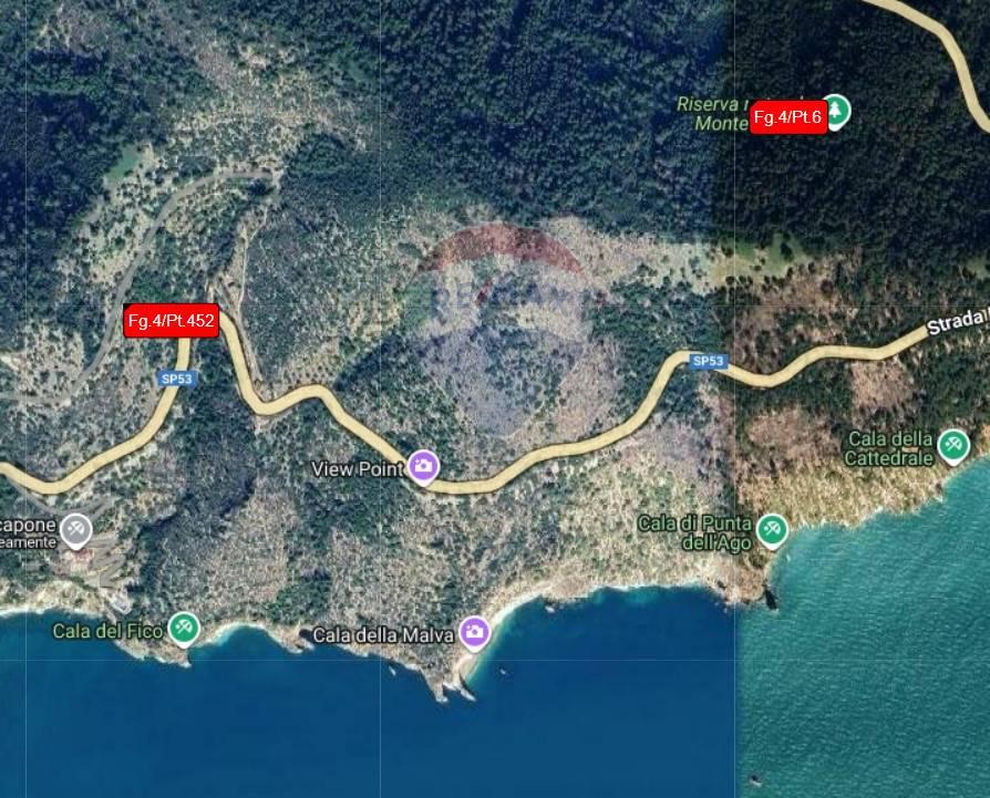 immagine annuncio 5 di 8