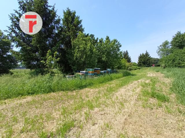 Terreno agricolo in Via della Salutare, Padova - Foto 1