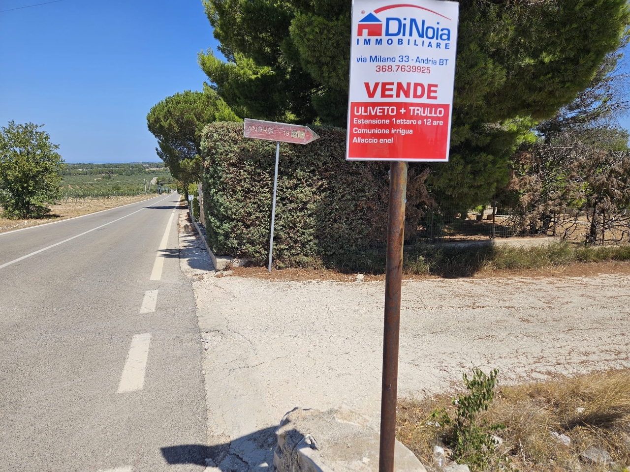 immagine annuncio 10 di 15
