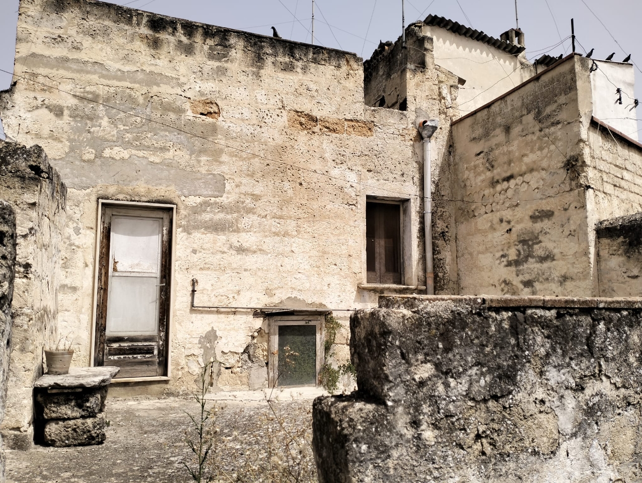 immagine annuncio 8 di 13
