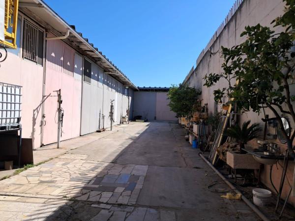 Capannone in Via Ospedaletto, Andria, {3} - Foto 1