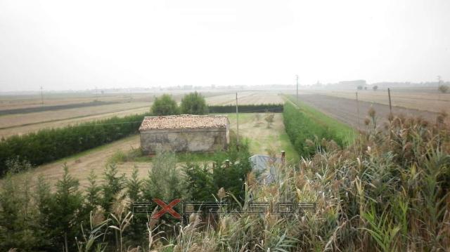 Terreno edificabile residenziale in {3}, Via G. Matteotti N. 20 Bis - Cavarzere - Foto 1