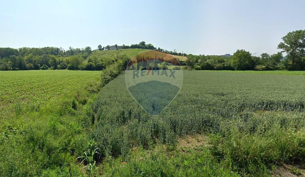 Terreno agricolo in vendita a Camagna Monferrato