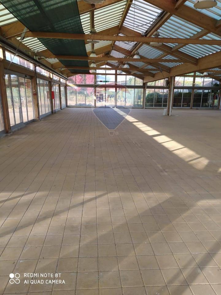 Capannone in Via della Tollegna 1, Vigliano Biellese, {3} - Foto 1