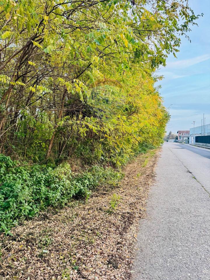 immagine annuncio 3 di 9