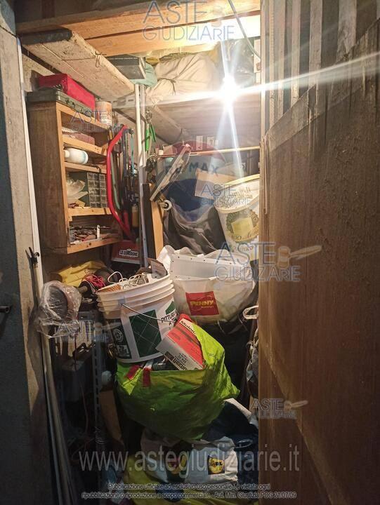 immagine annuncio 3 di 7