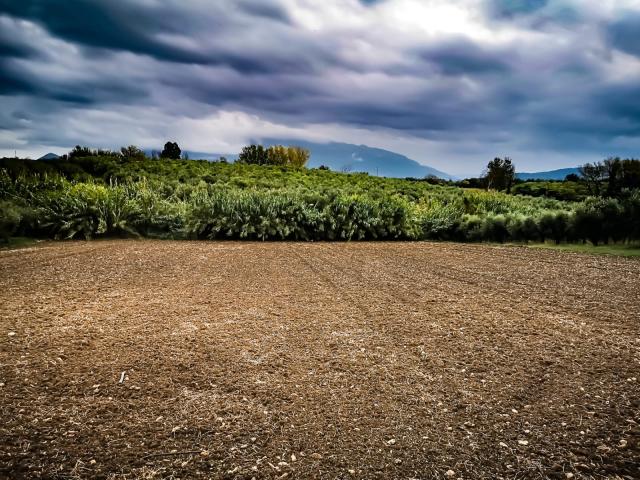 Terreno agricolo in Via Pian del Vicario, Eboli - Foto 1