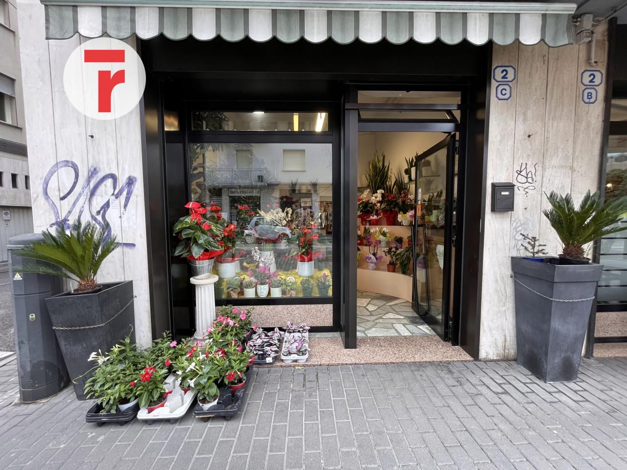 Piante e fiori in vendita a Padova