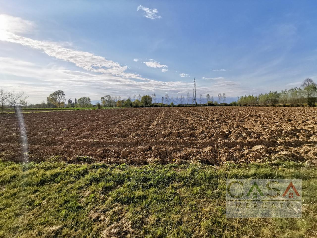 Terreno agricolo in vendita a Fiume Veneto